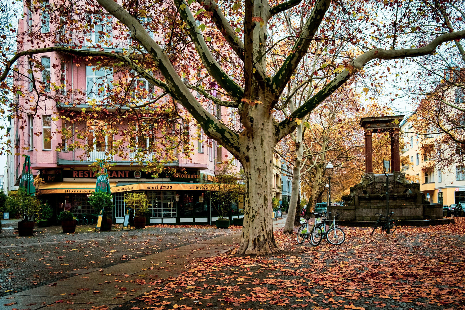 Buntes Bild mit Bäumen und Wohnblocks zur typischem Herbstzeit.