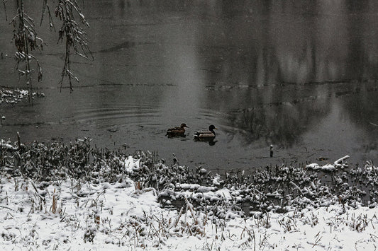 Weißensee
