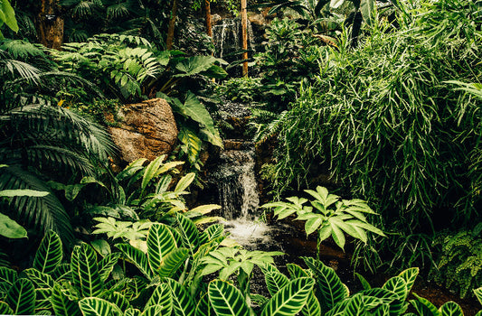 Tropical Islands