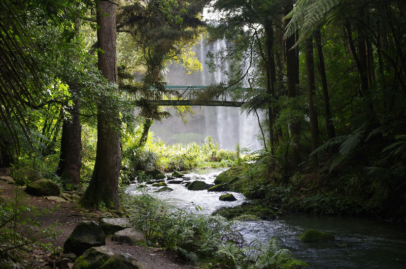 FOTO VON EINER BRÜCKE IN EINEM KLEINEN WALDSTÜCK ÜBER EINEN FLIEßENDEN BACH UND NEBEL. 