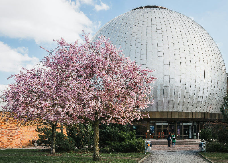 Eingang mit Weg und Bäumen vom Carl-Zeiss-Planetarium.