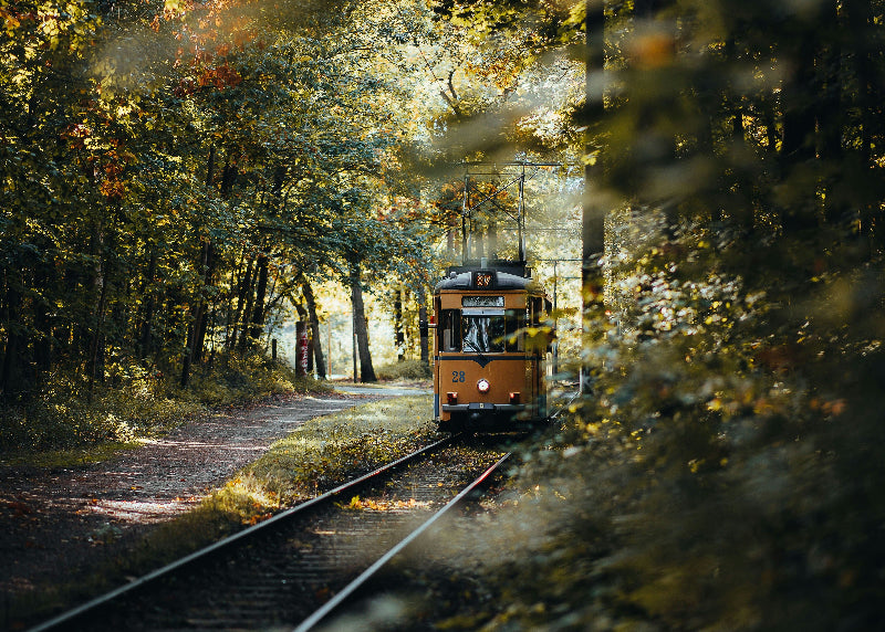 Foto einer ehemaligen Straßenbahn aus Berlin, welche in der Natur fährt. 