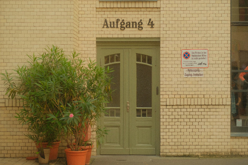 Foto von der Klinkerfassade in den Hackeschen Höfen Berlin mit grüner Tür in Berlin. 