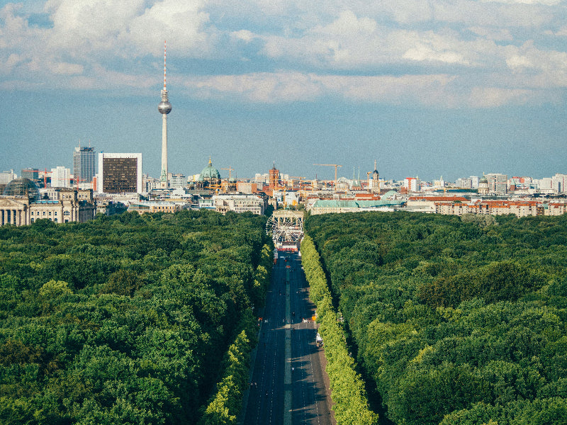 Foto von der Berliner Siegessäule auf den Tiergarten und den Fernsehturm. 