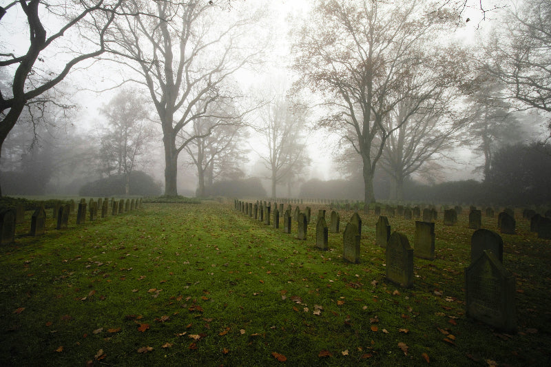Friedhof in Berlin bei Nebel. 