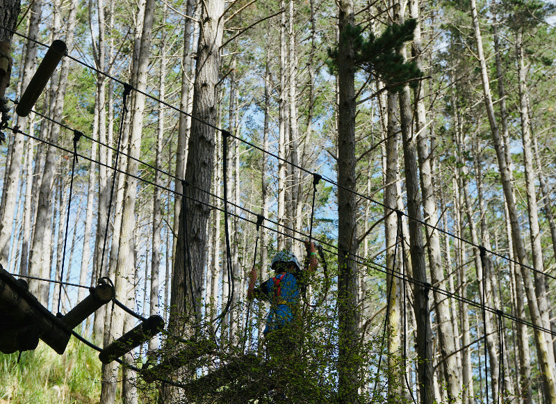 Foto von einem Kletterer in einem Hochseilgarten Berlin-Jungfernheide. 