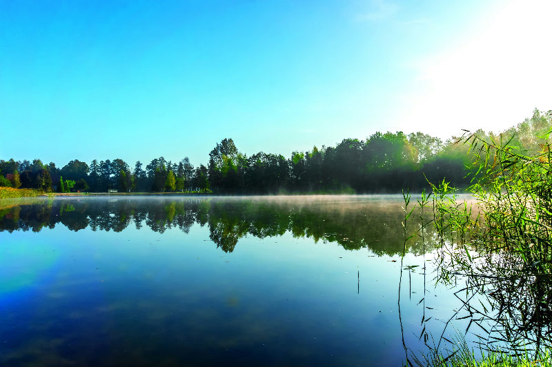 Foto von einer Insel bei Sonnenschein und viel Natur im Spreewald. 