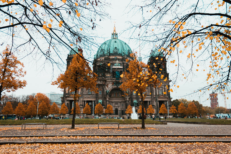 Lustgarten mit vielen braunen Blättern im Herbst und Berliner Dom im Hintergrund. 