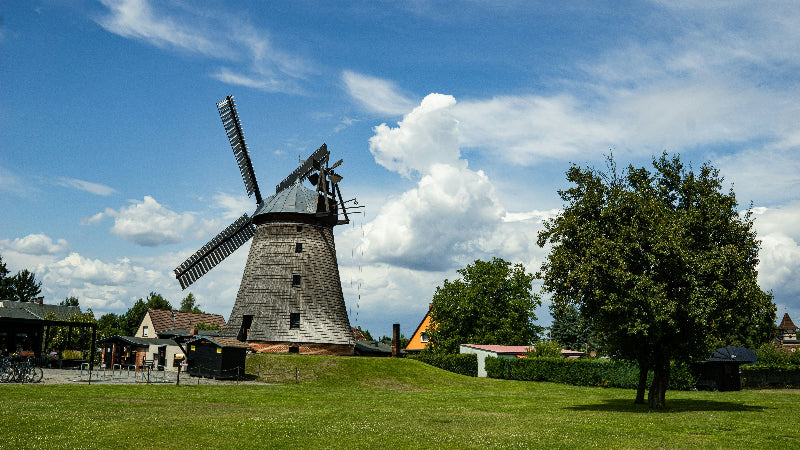 Foto von der Mühle im Spreewald mit Bäumen und Wiesen.