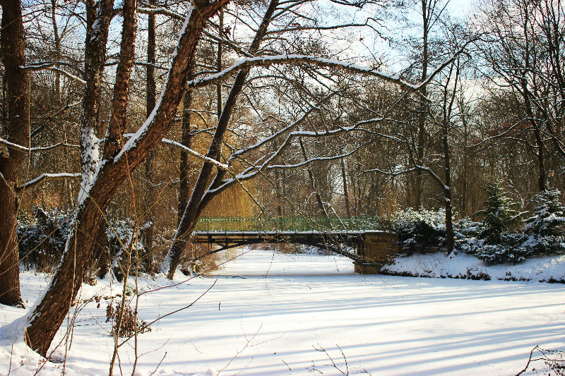 Brücke und zugefrorener See im Berliner Tiergarten. 