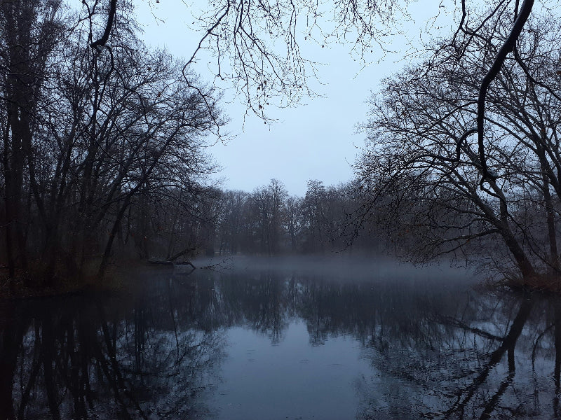 See im Winter im Berliner Tiergarten mit Nebel und dunklem Himmel. 
