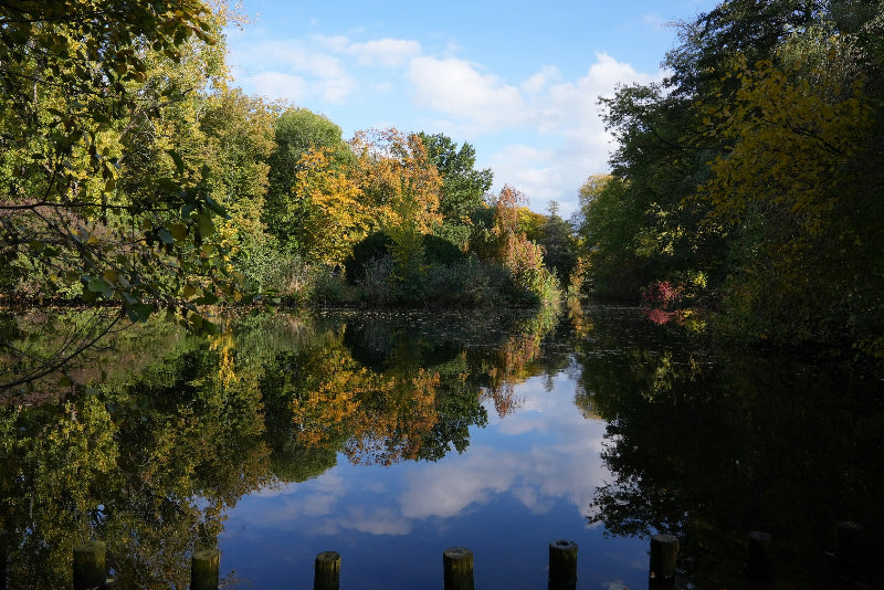 See und viele Bäume im Berliner Tiergarten mit blauem Himmel.