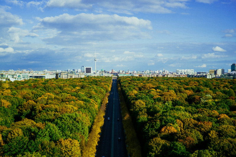Berliner Tiergarten von oben mit Straße des 17. Junis im Sommer. 
