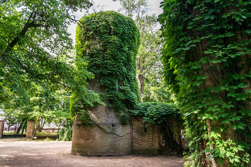 Gehweg im Berliner Zoo. 