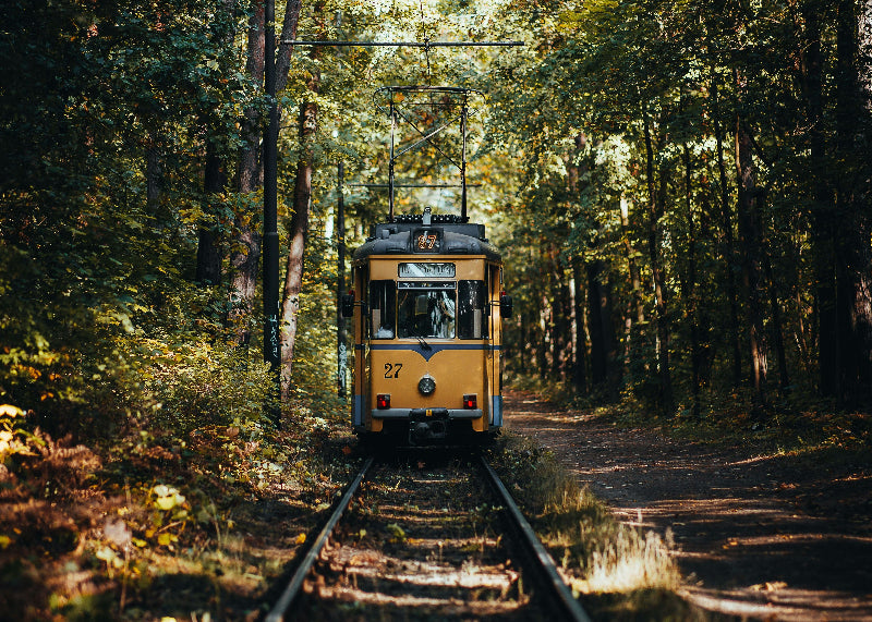 Ehemalige Berliner Straßenbahn in der Natur. 