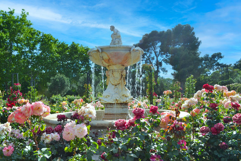 Foto von einem Springbrunnen bei sonnigem Wetter umgeben von Pflanzen im englischen Garten, Berlin