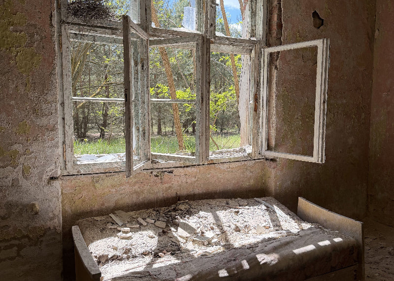 Zerbrochenes Fenster und altes Sofa mit Blick auf den Außenbereich vom lost Place Wünsdorf.