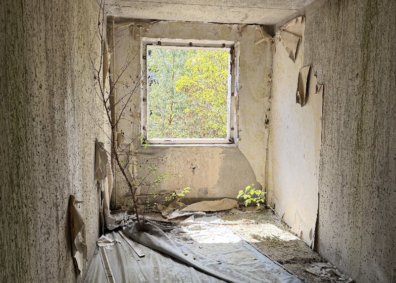 Foto von einer verlassenen Wohnung mit fehlendem Fenster im Lost Place Wünsdorf.